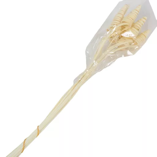 Cane Cone fehérített 10db-os