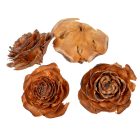 Cédrus rózsa fej 5-7cm natúr 20dkg/csom