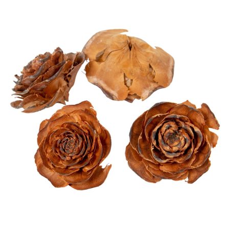 Cédrus rózsa fej 5-7cm natúr 20dkg/csom