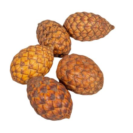 Pálma mag natúr 20dkg/csom