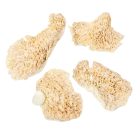 Tapló fehérített 20dkg/csom