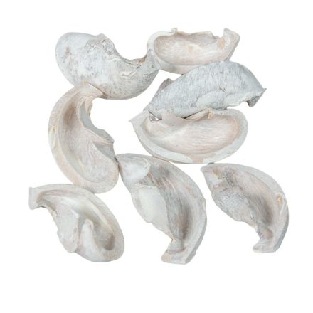 Fül termés zúzmarás 25dkg/csom