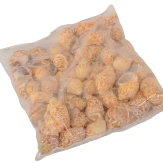 Kagyló 1kg Pura muttai-Bábelcsiga natúr 1kg