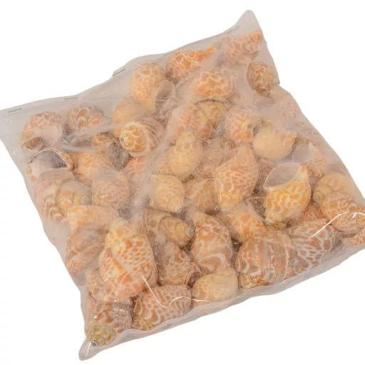 Kagyló 1kg Pura muttai-Bábelcsiga natúr 1kg