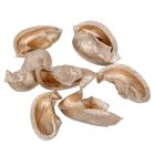 Fül termés pezsgő 15dkg/csom