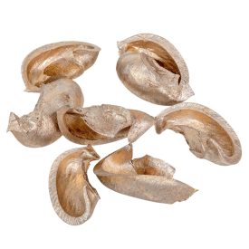 Fül termés pezsgő 15dkg/csom