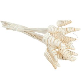 Cane Cone mini fehérített 14db/csom