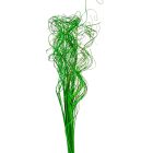 Curly Ting Ting feh.vil.zöld 10dkg/csom