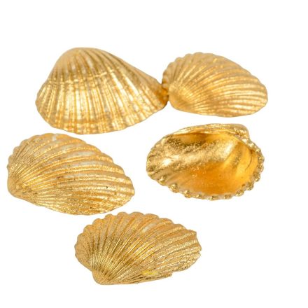 Kagyló Chippi-Szívkagyló 3-5cm kicsi arany 20dkg/csom