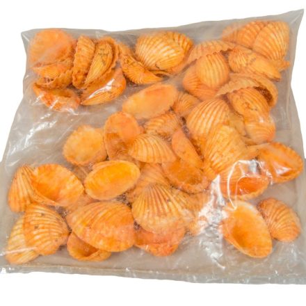 Kagyló 0,5kg Chippi-Szívkagyló kicsi 3-5cm narancs