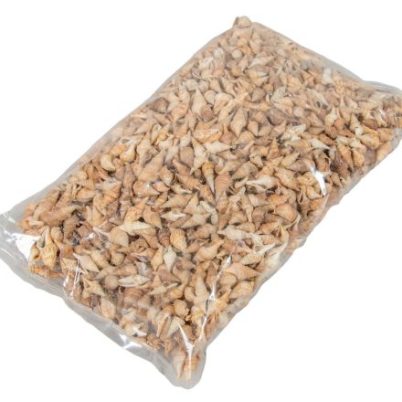 Kagyló 1kg Chinna thirukkani-Tündércsiga