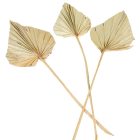 Pálmalevél közép natúr 10db-os