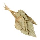 Pálmalevél közép natúr 10db-os
