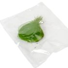 Fátyol levél söt.zöld 100db-os