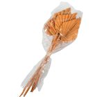 Pálmalevél közép falfestékes narancs 10db-os