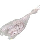 Pálmalevél közép falfestékes rózsaszín 10dkg/csom