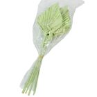 Pálmalevél közép falfestékes vil.zöld 10db-os