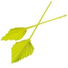 Pálmalevél közép falfestékes olíva 10db-os