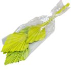 Pálmalevél közép falfestékes olíva 10db-os