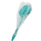 Pálmalevél közép falfestékes aqua 10db-os