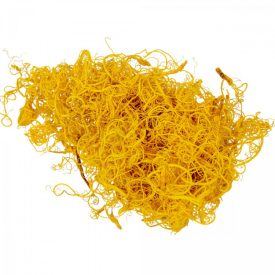 Kócos moha /Curly moos feh.sárga 15dkg/csom