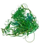 Kócos moha/Curly moos feh.vil.zöld 15dkg/csom