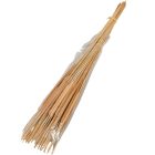 Typha indiai natúr 20db-os