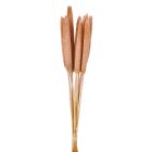 Babala falfestékes rózsaszín 10db-os