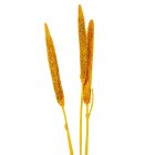 Babala falfestékes sárga 10db-os