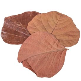 Kobra levél narancs 20db-os