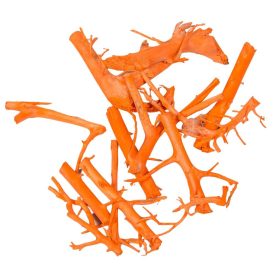 Gyökér fehér darabok narancs 25dkg/csom