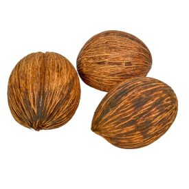 Mintola mini natúr 9db-os