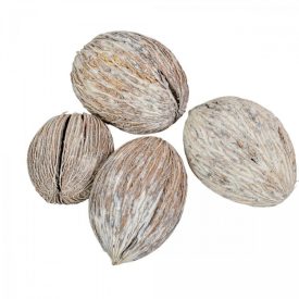 Mintola mini zúzmarás 12db-os