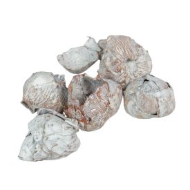 Kókusz mini zúzmarás 26dkg/csom