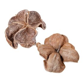 Landlotus zúzmarás 7db-os