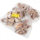 Landlotus zúzmarás 7db-os