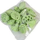Lotus kicsi 4-6cm falfestékes vil.zöld12db/csom