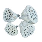 Lotus kicsi 4-6cm falfestékes vízkék 12db/csom