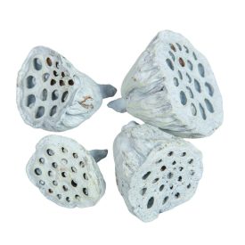 Lotus kicsi 4-6cm falfestékes vízkék 12db/csom