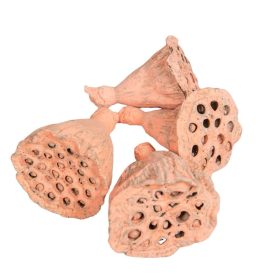 Lotus mini falfestékes narancs 5dkg/csom