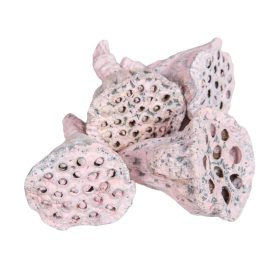 Lotus mini falfestékes rózsaszín 5dkg/csom