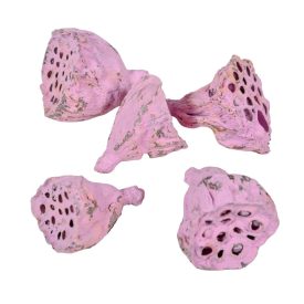 Lotus mini falfestékes mályva 5dkg/csom