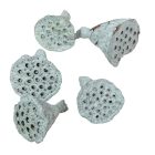 Lotus mini falfestékes vízkék 5dkg/csom