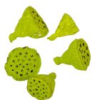 Lotus mini falfestékes olíva 5dkg/csom