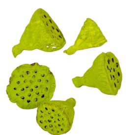 Lotus mini falfestékes olíva 5dkg/csom