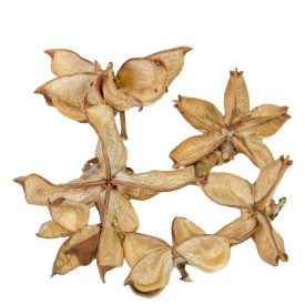 Gyapot termés natúr 17dkg/csom