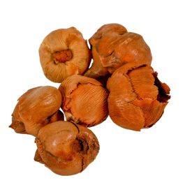 Kókusz mini natúr 38dkg/csom