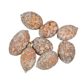 Pálma mag zúzmarás 13dkg/csom
