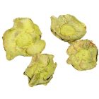 Kókusz virág falfestékes olíva 16dkg/csom