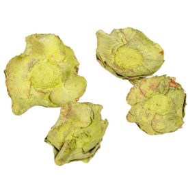 Kókusz virág falfestékes olíva 16dkg/csom